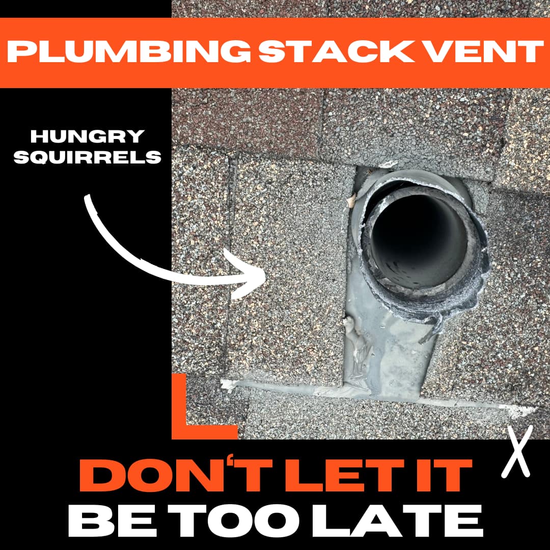 Squirrels Eat Lead Flashings: Roofing Risks Revealed