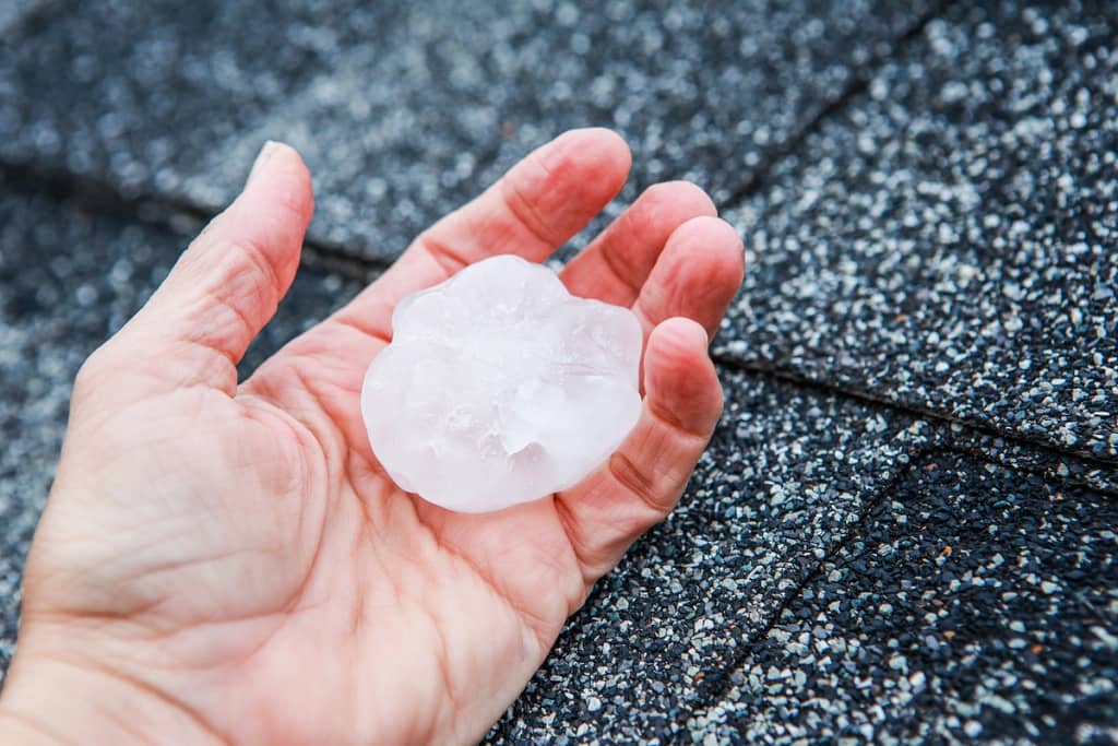 man holding a large hailstone