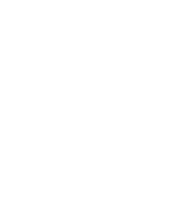 Palladium Roofing logo reversed