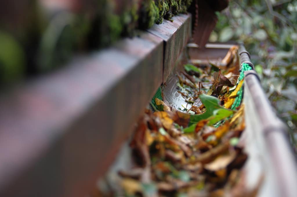 A metal rain gutter filled with fallen autumn leaves and organic debris to demonstrate why homeowners need anti leaves protection.