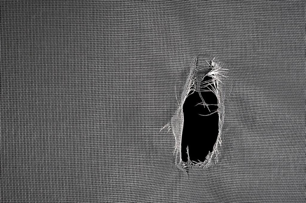 Window screen torn with a big hole against a black background.
