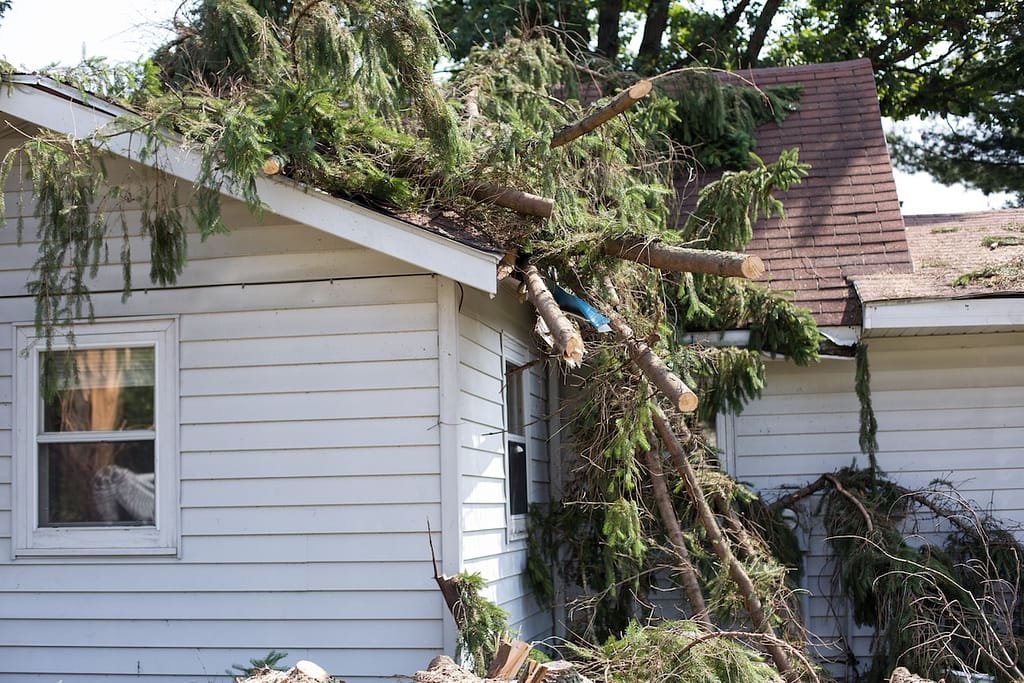 Roof damage from tree that fell over during storm.