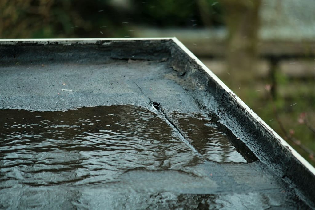 leaking roof repair black flat roof with a water damp