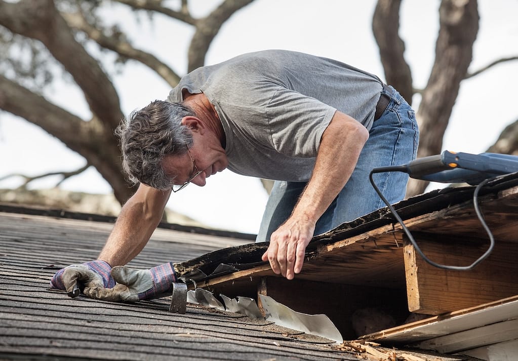 Close up view of man using crowbar and saw to remove rotten wood from leaky roof decking. After removing fascia boards he has discovered that the leak has extended into the beams and decking.
