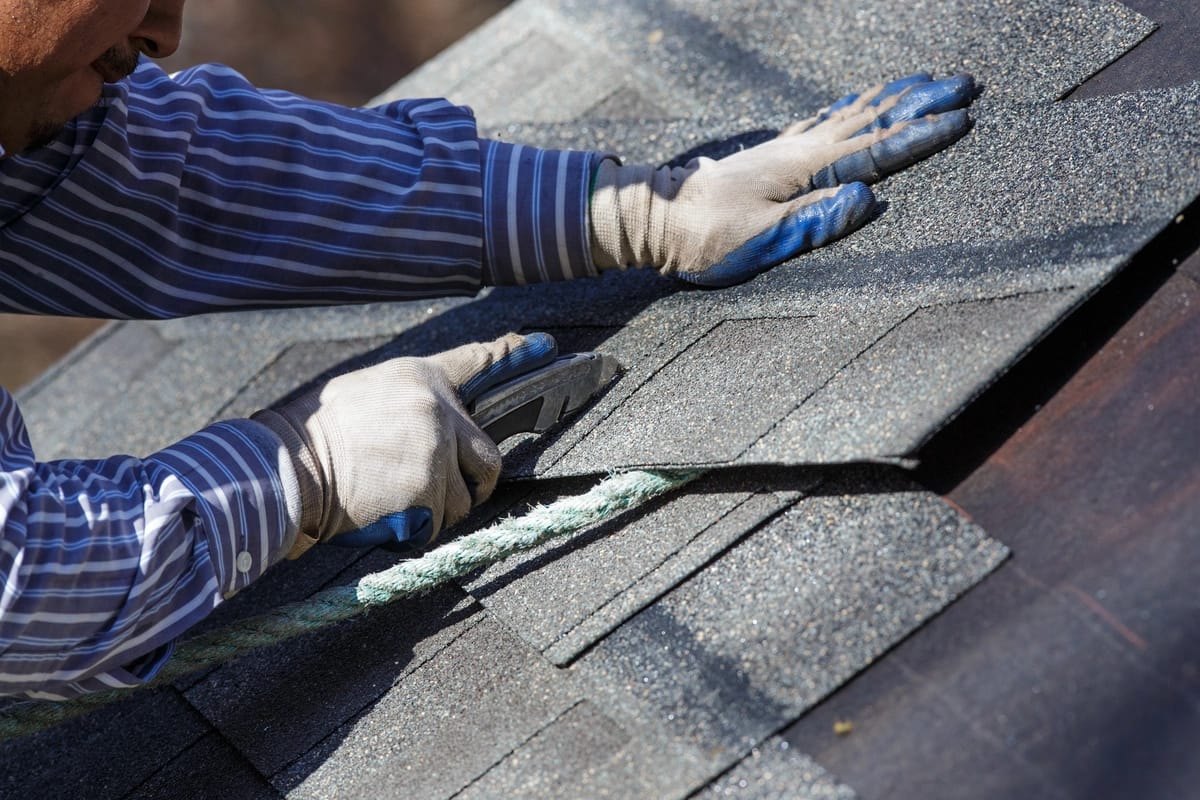 Homeowner's Guide To Replacing Your Shingle Roof In 2023