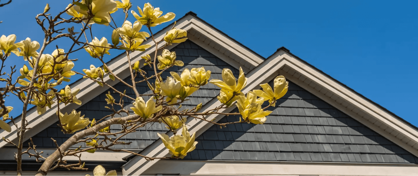 Gable roof with tree in front of it