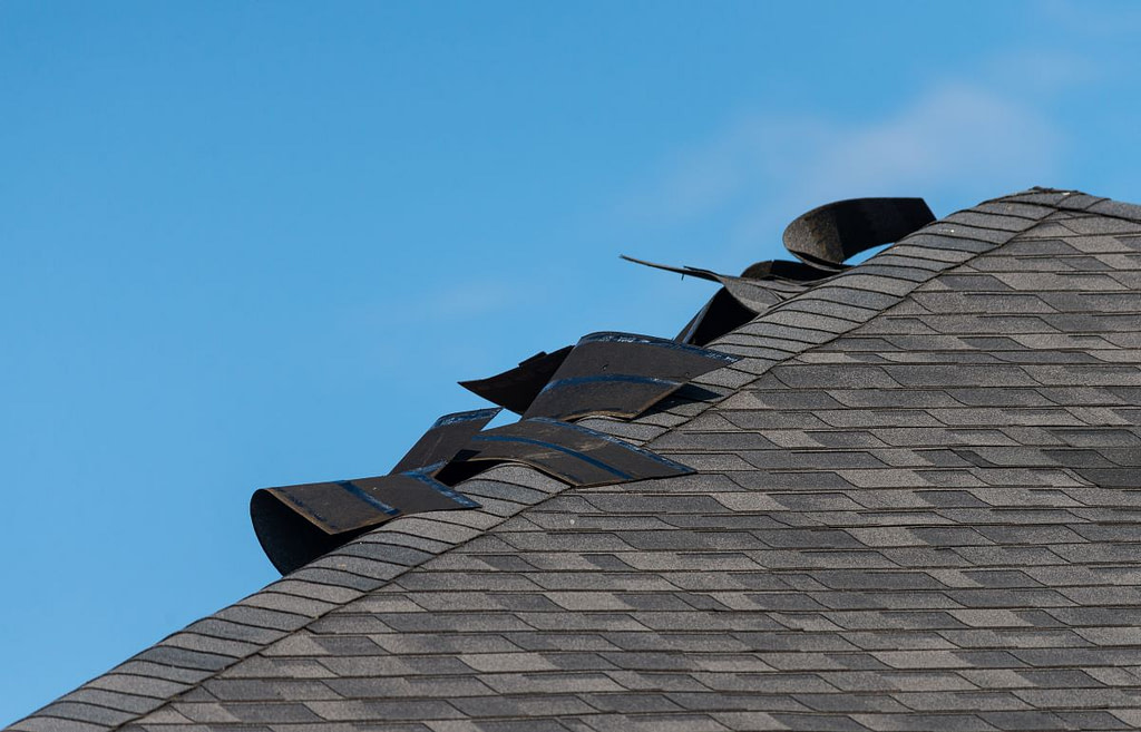 damaged asphalt shingles due to storm