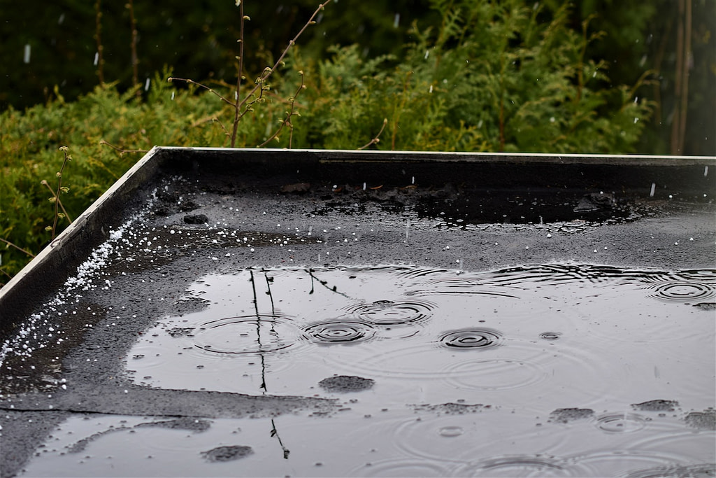 Light rain on a black flat roof after hail against a green hedge