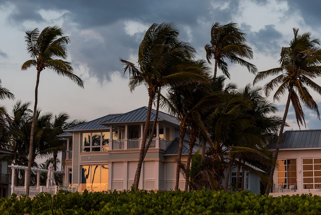 wind blowing palm trees in front of florida home