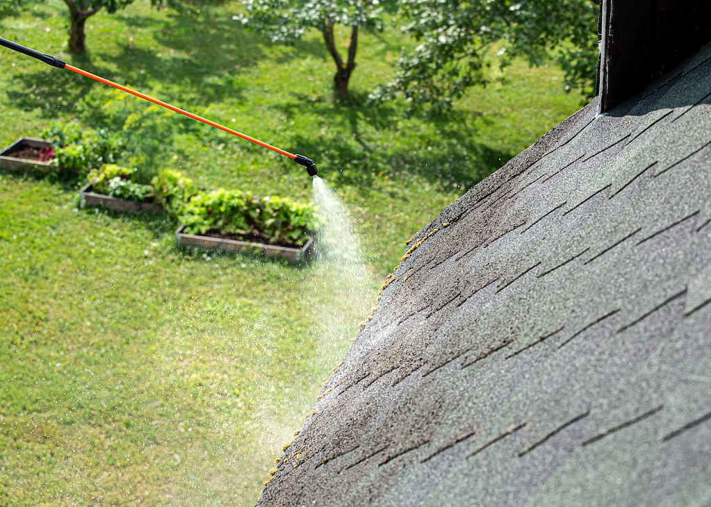 Spraying moss removing chemical to domestic home roof. Moss removal concept.
