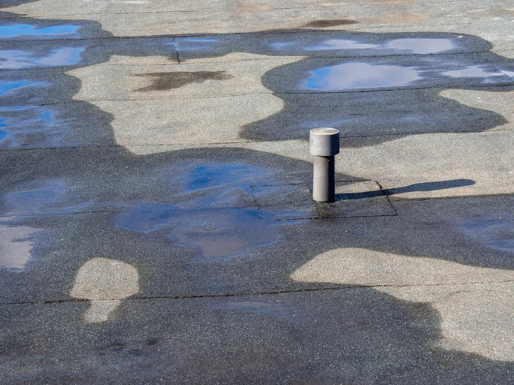 water puddles on flat roof
