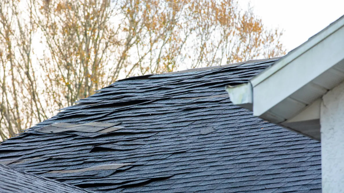lifting shingles - how long does a roof last?