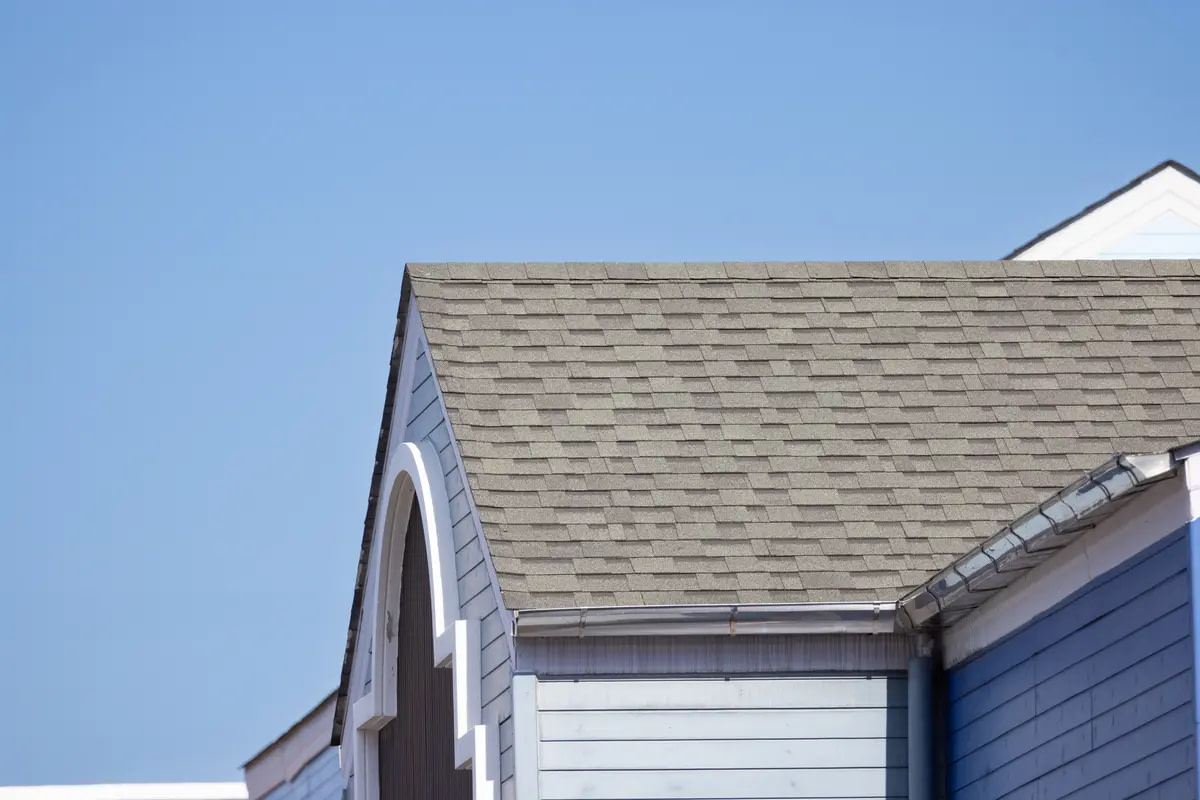 close up shingles