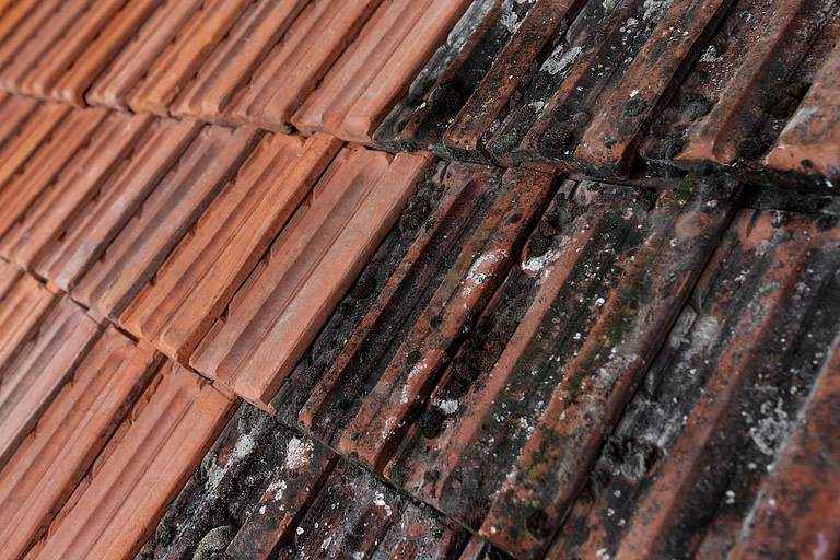 Photography of washed and non-washed roof tiles. Tiles covered with lichen, mould and moss and cleaned tiles. Close-up. Black and orange tiles. Old and new.