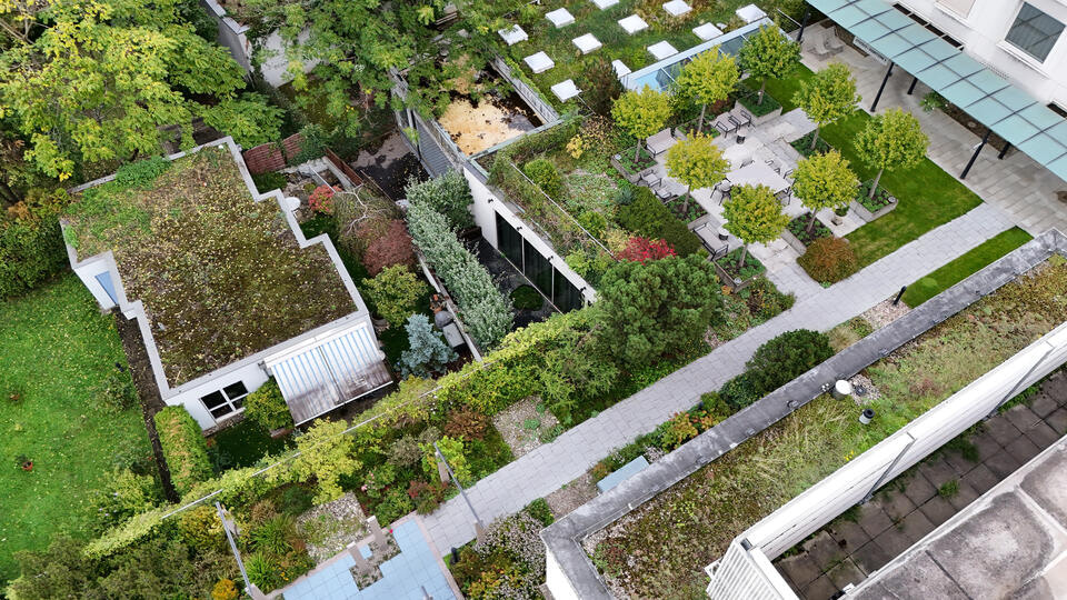 modern roof-aerial view of green roof on house system