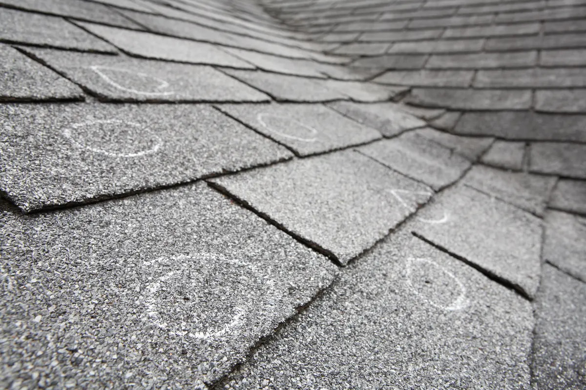 hail damage circles on shingles