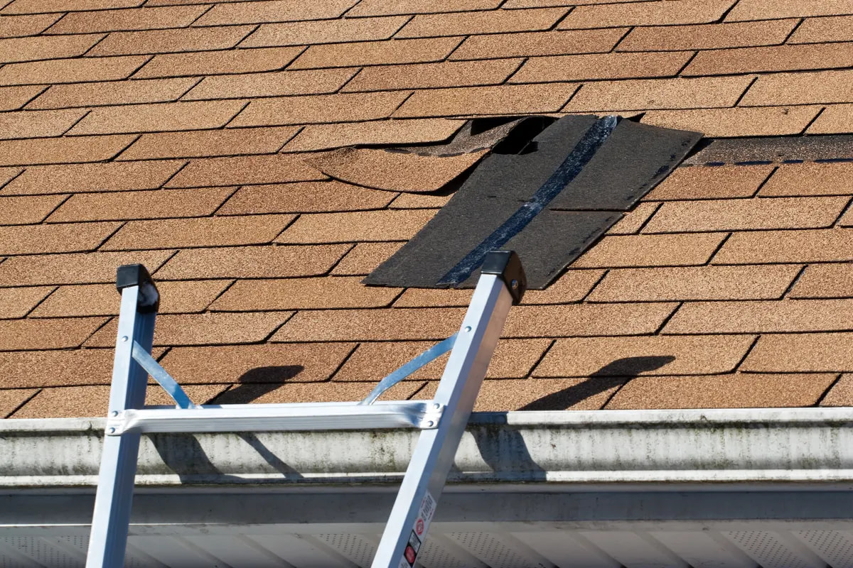 roof damage and ladder