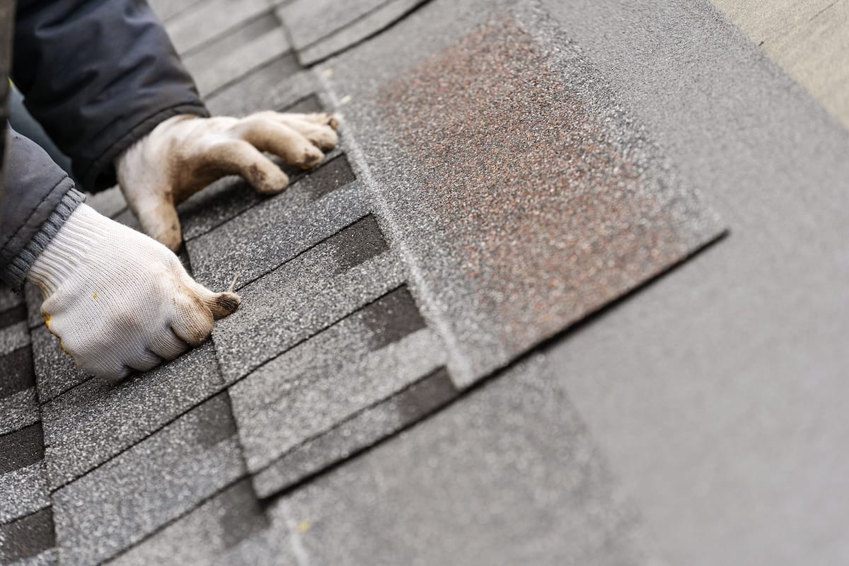 Installation of roof shingles