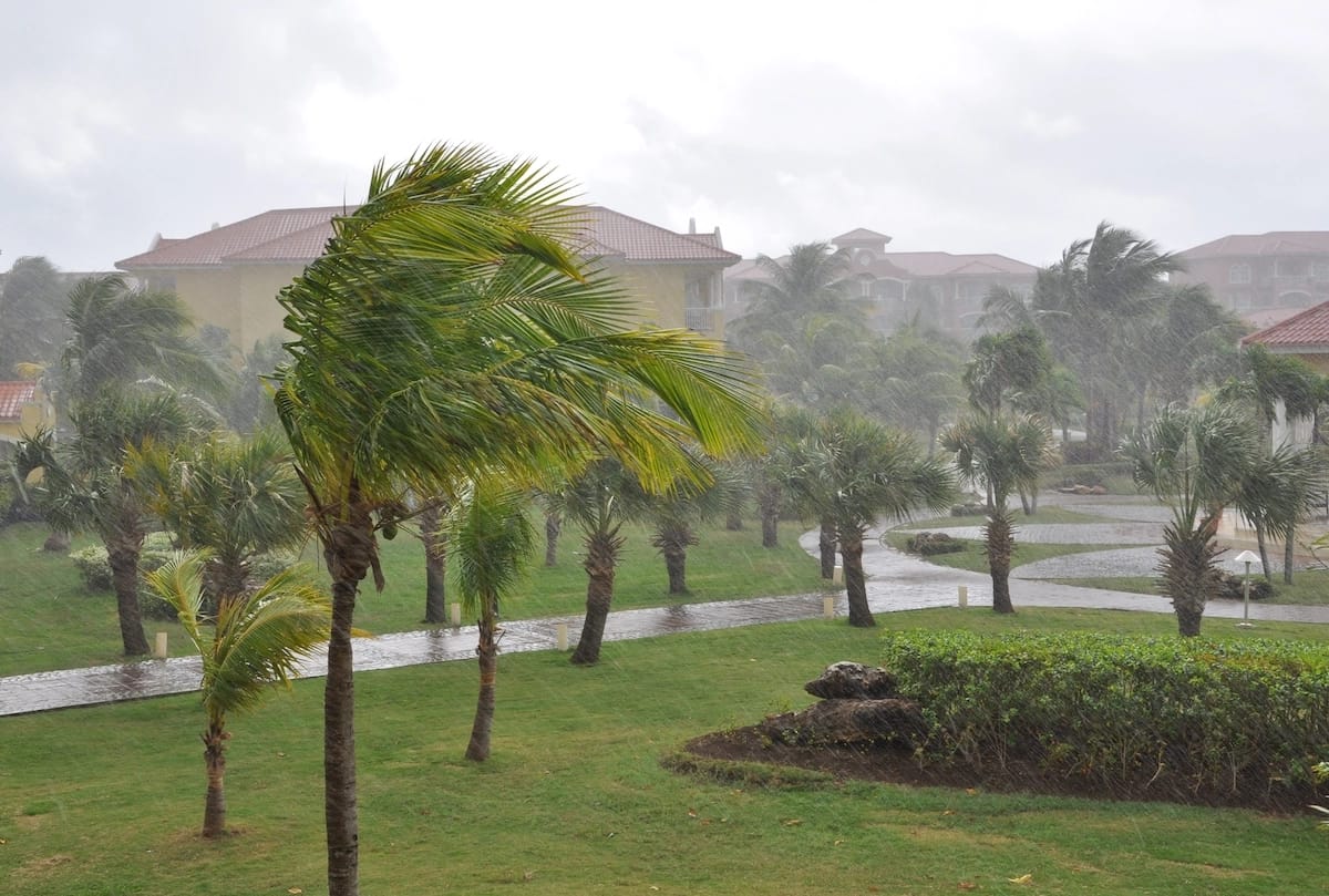 Heavy rain and strong winds sway palm trees in a landscaped area with short grass and hedges. Several buildings with tomball roofing and red-tiled roofs are visible in the background, partially obscured by the rain. Wet pathways cut through the green area.