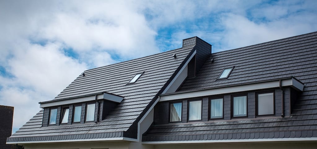 Modern sleek home with black roof