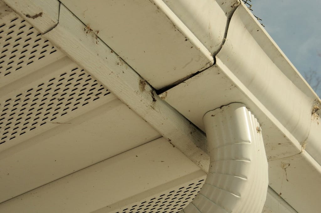 signs of a leaky gutter