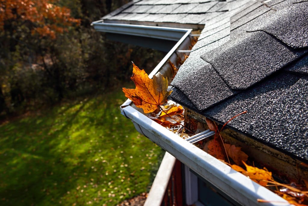 Close up of shingle roof with gutter installation in Zimmerman MN