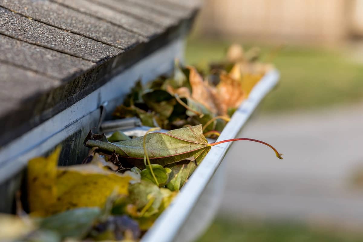 close up of gutters before maintenance