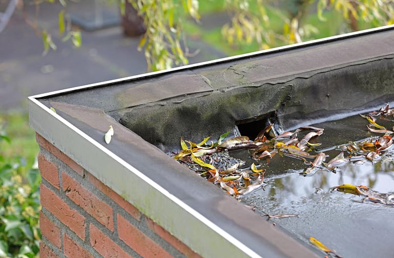 roof scupper-brick building and flat roof with roof scupper, debris, and water draining