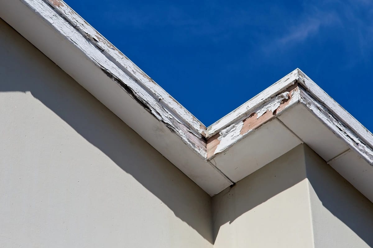 peeling fascia