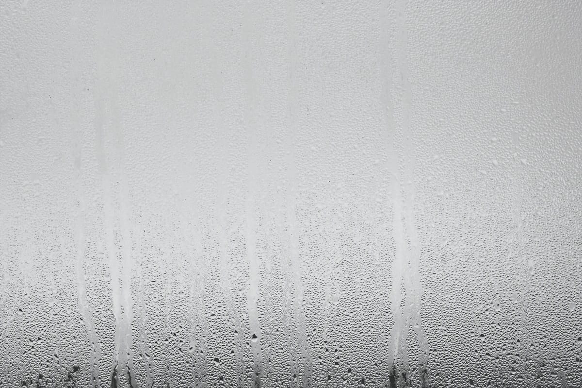 condensation on a window