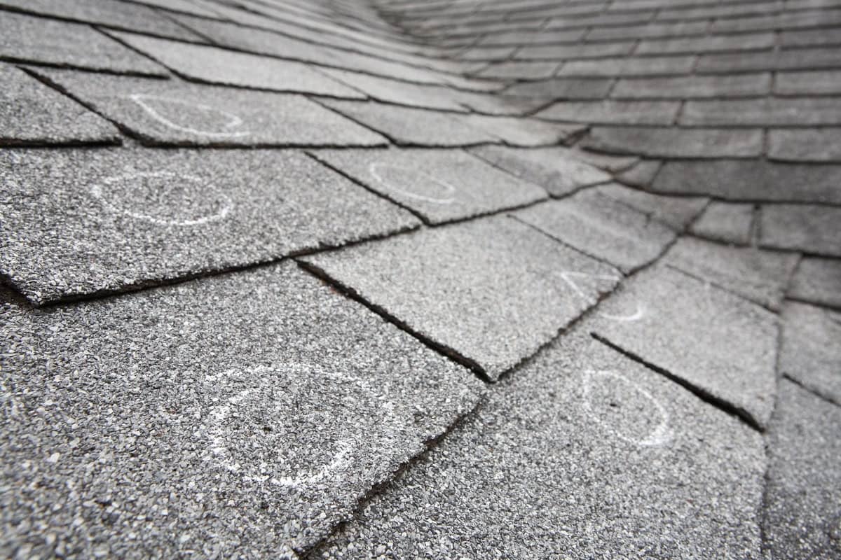 white circles on asphalt shingles marking hail damage