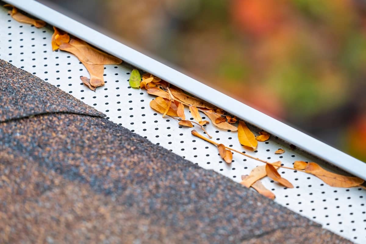 metal gutter guards and leaves