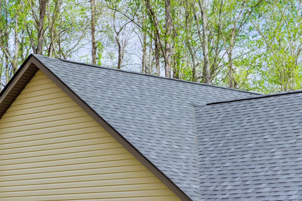 trees and asphalt shingles