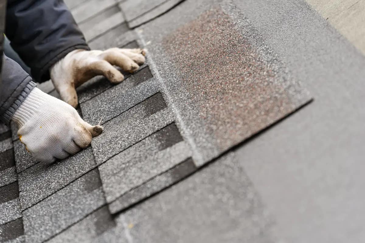 hands and impact resistant shingles