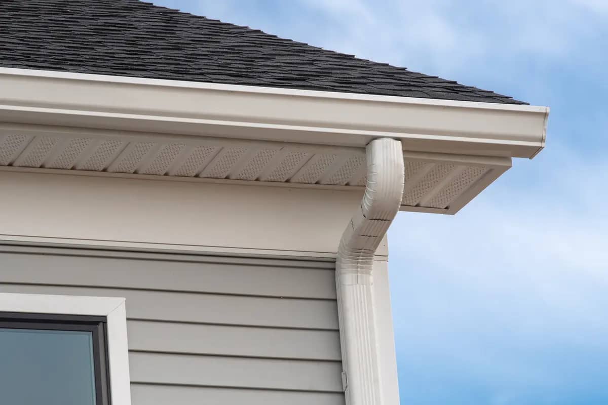 shingle roof and soffits