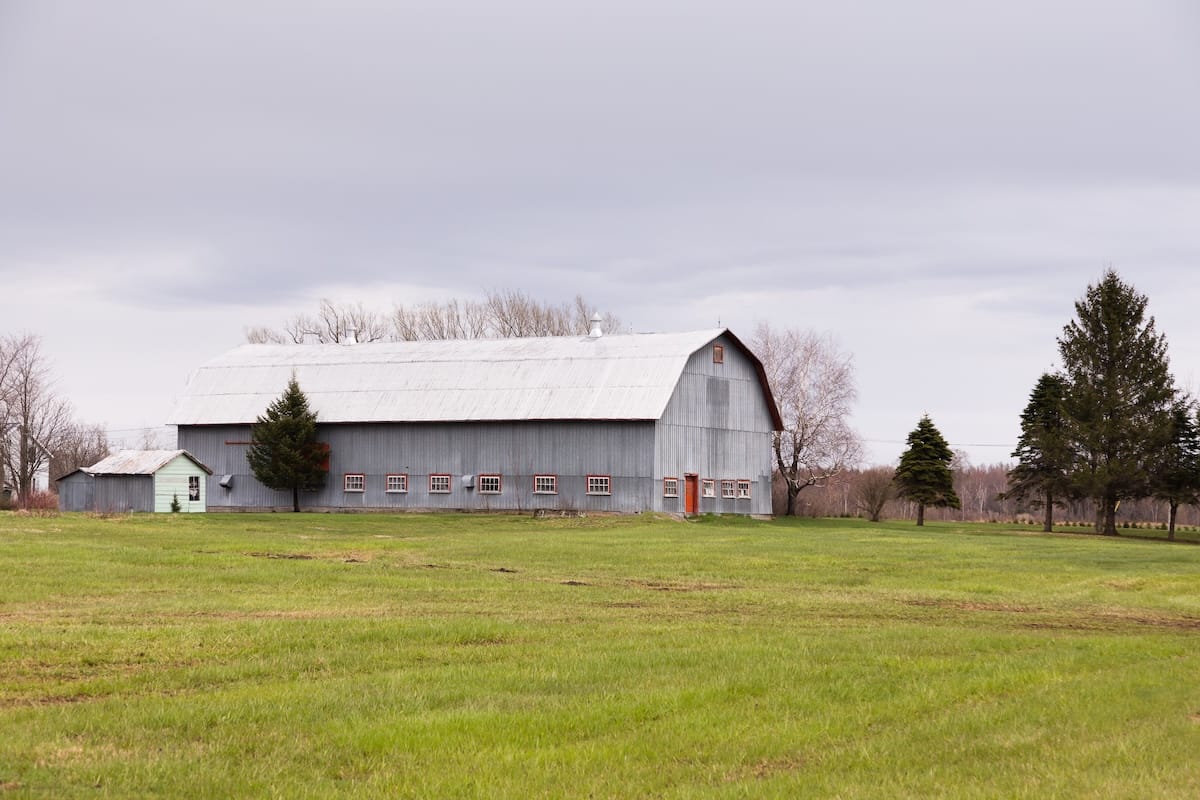Metal gambrel roof on barn