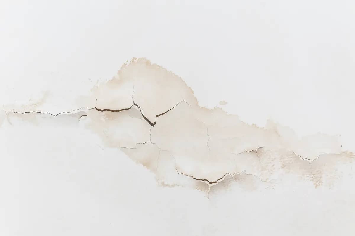 ceiling leak -flat roof leak repair