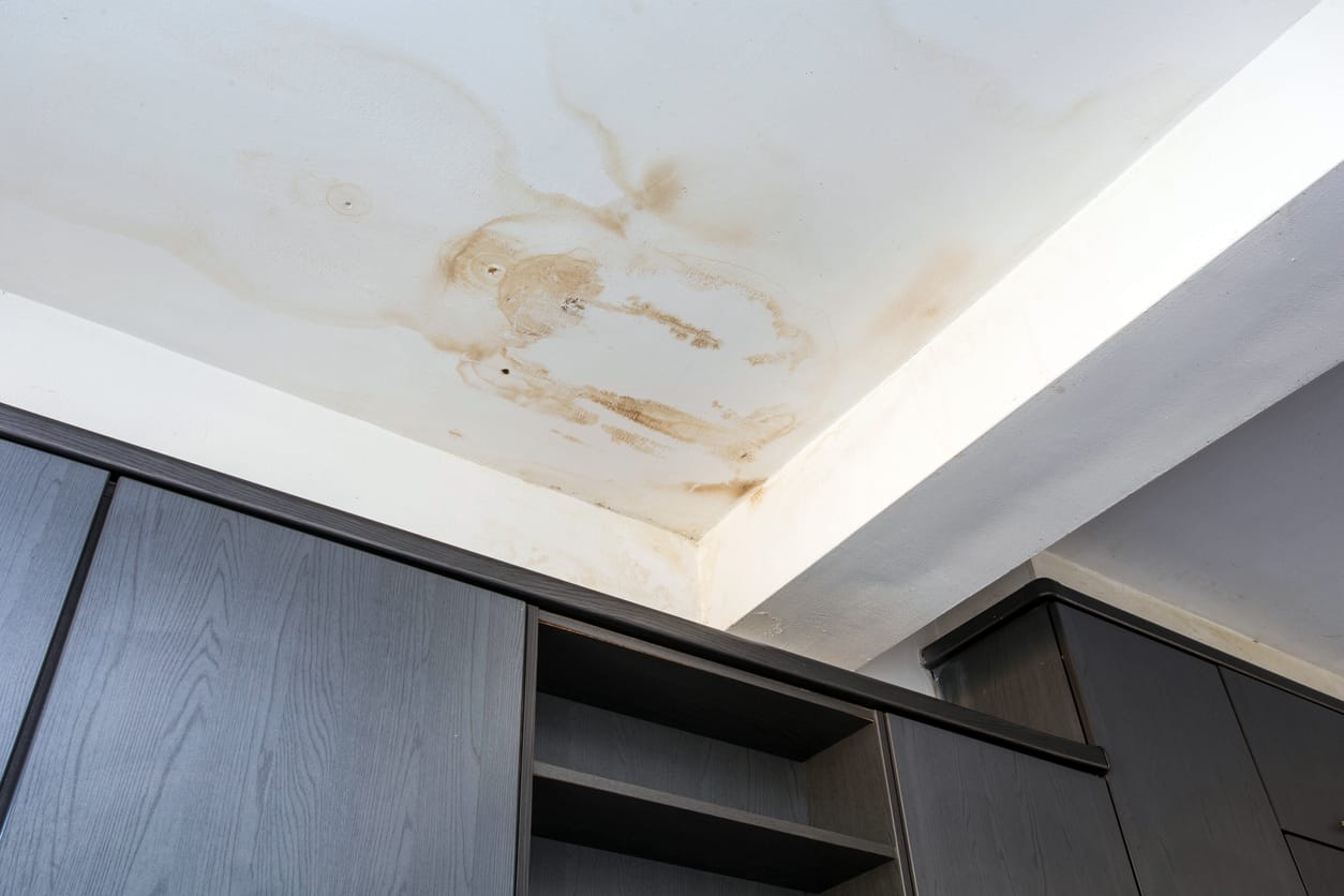 Roof Leak Damage