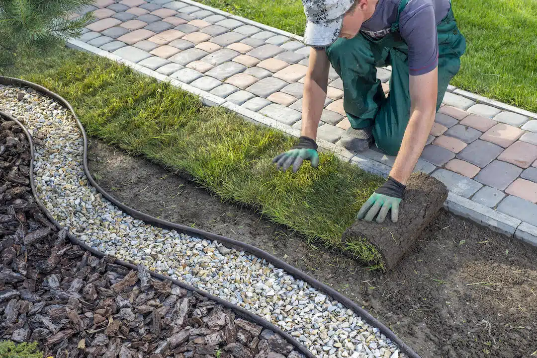 Landscaper rolling out new sod