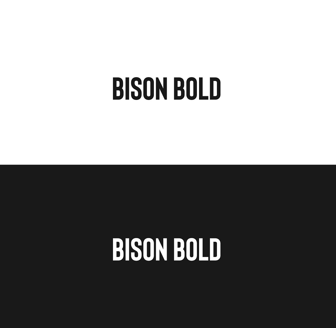 Bison-bold-2022-modern-fonts