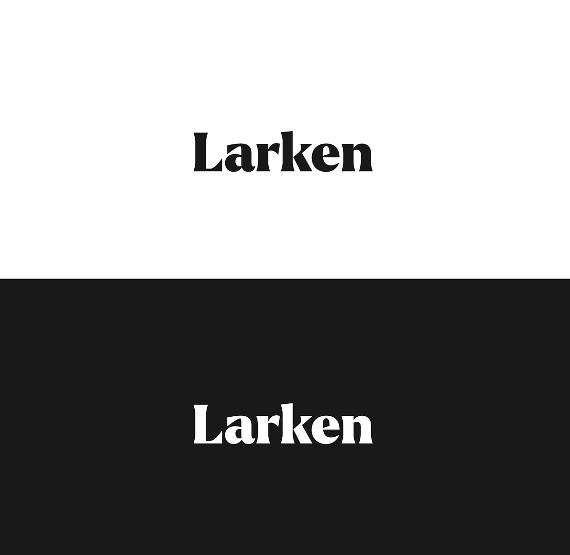 Larken Modern Fonts for 2022