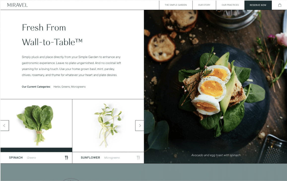 Greenery, White Simple Inspiration Web Design 2021