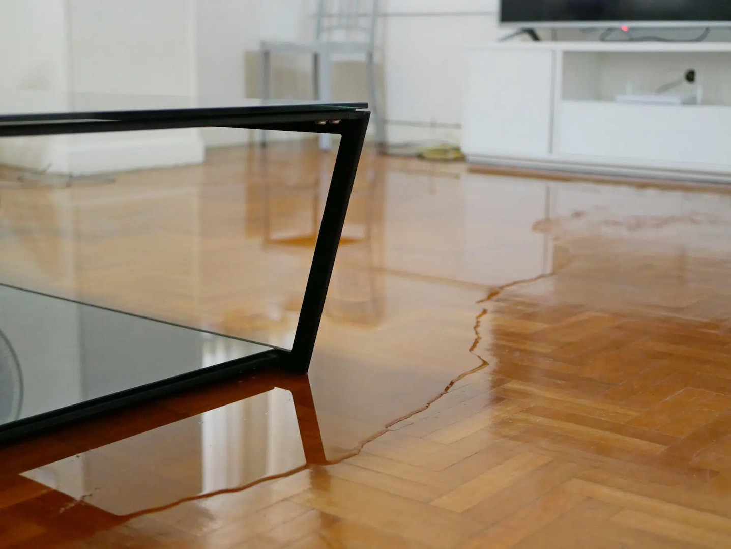 A modern living room with a polished wooden floor is partially flooded. Water encircles a sleek black-framed glass coffee table, accentuated by a television console and an exquisite painting in the background, lending an artful serenity to the scene.