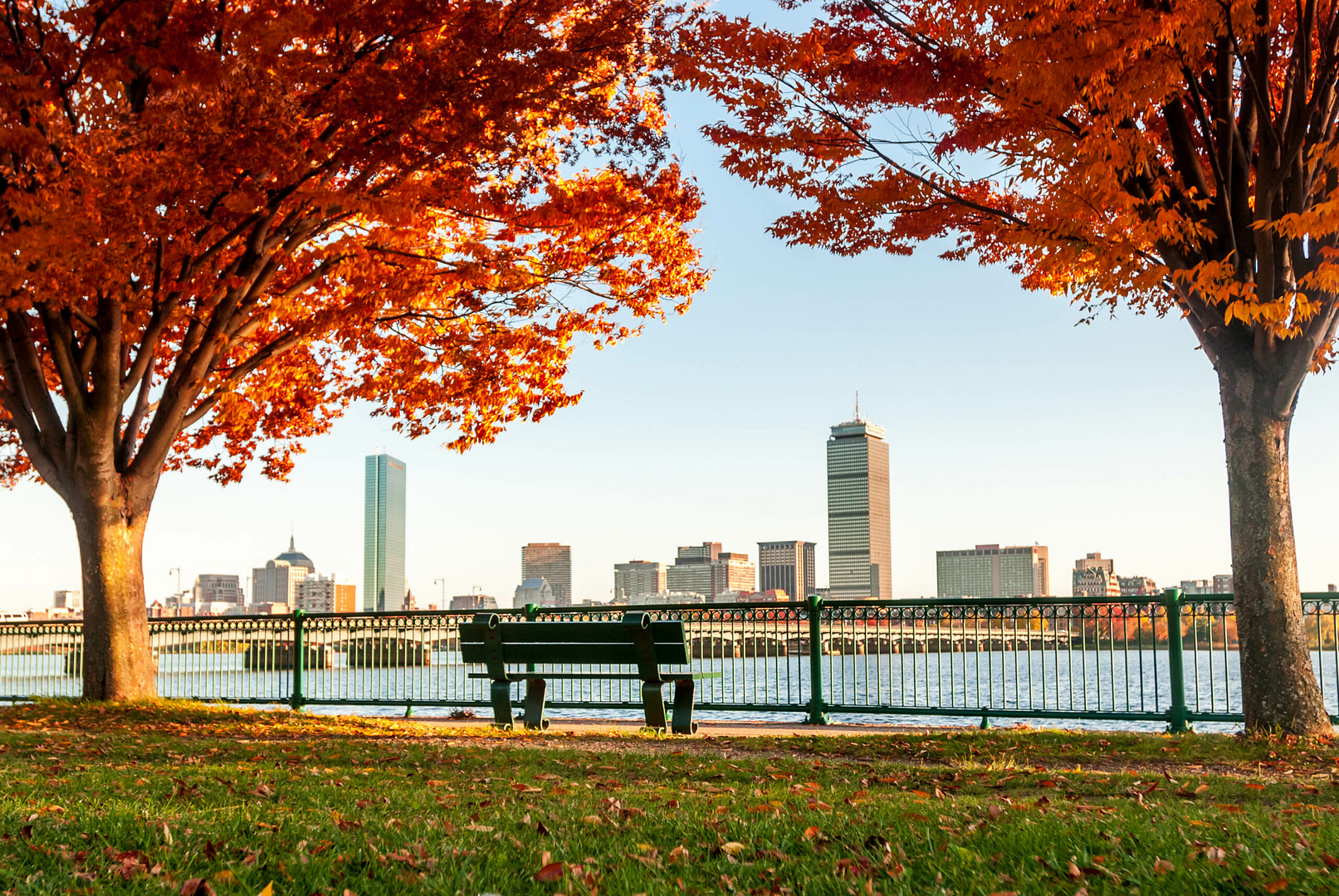 A park bench under vibrant autumn trees with red and orange foliage overlooks the Boston skyline across the water, framed by a metal railing on a clear day.