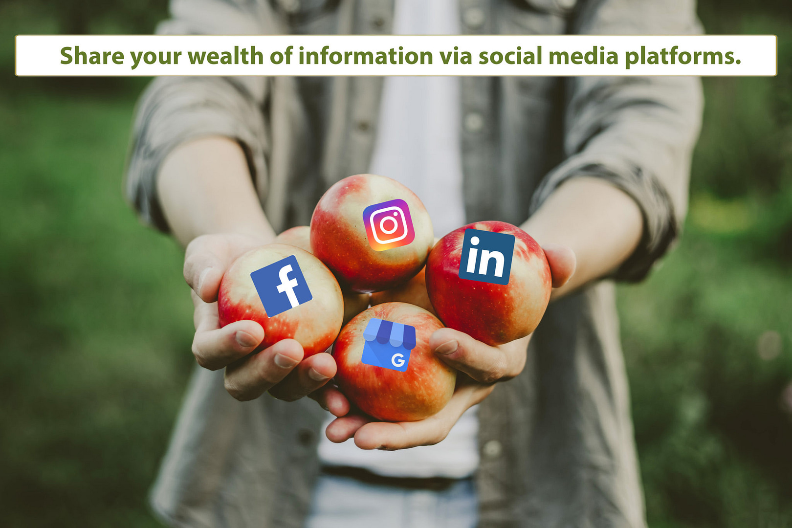 social media platforms