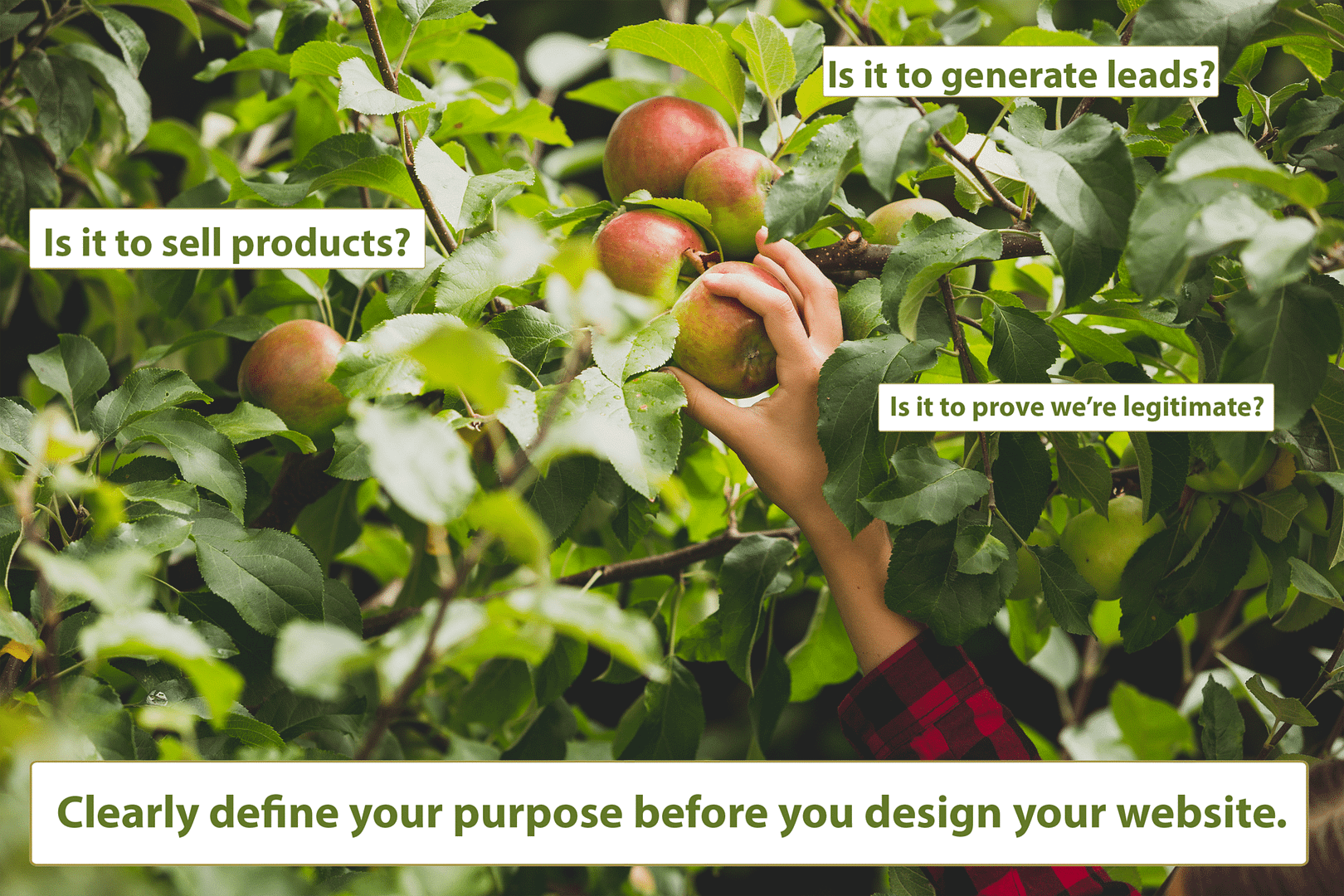 define website purpose