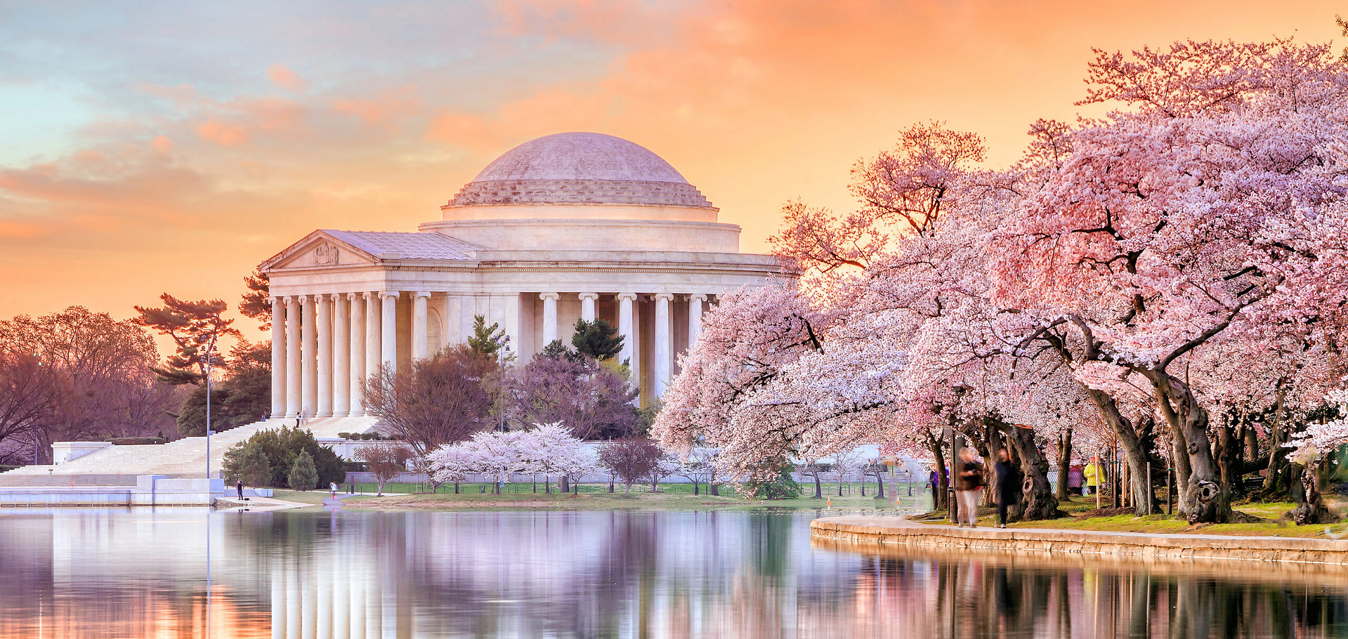 Capture the essence of Washington, D.C. by leveraging visuals like the Jefferson Memorial, framed by blooming cherry blossoms and mirrored in tranquil waters under a pastel sky at dawn or dusk. Incorporate this iconic image into your strategy to amplify your Washington DC SEO presence effectively.