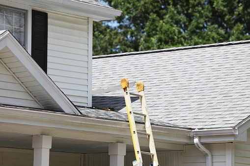 best Roof Ladders