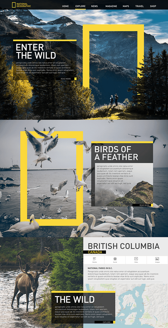 National Geographic redesign concept, rule of thirds, white space