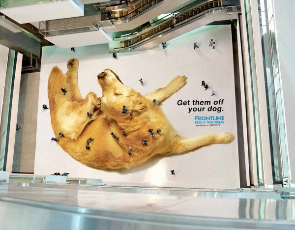 Frontline Dog Flees - Guerilla Marketing